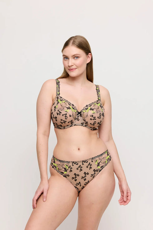 PrimaDonna Manali Rio Briefs